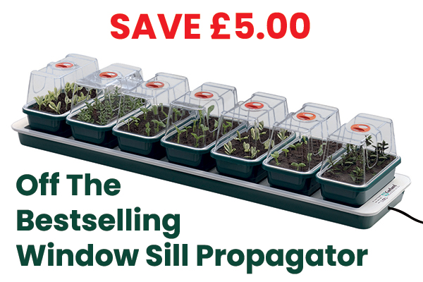 Window Sill Propagator