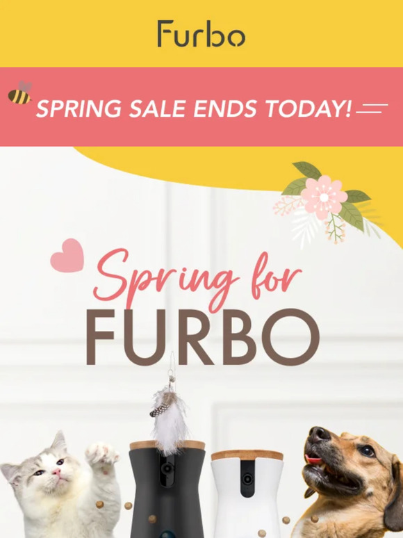 Final Hours for Spring Savings...GO GO GO!