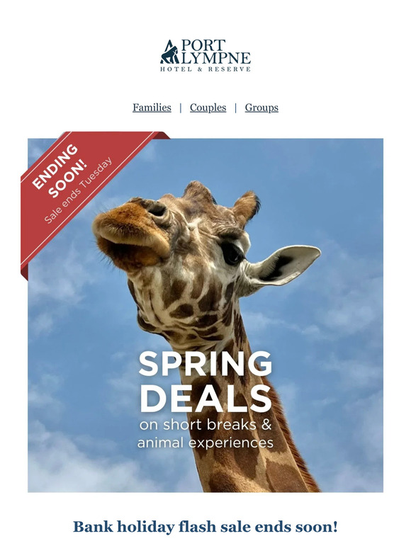 ⏰ Flash sale ends soon - stays & animal experiences ⏰