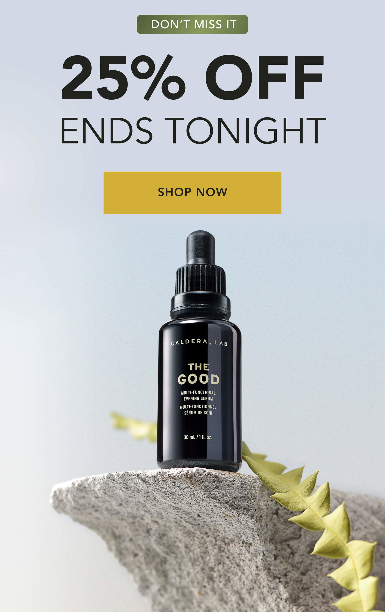 25% OFF Ends Tonight