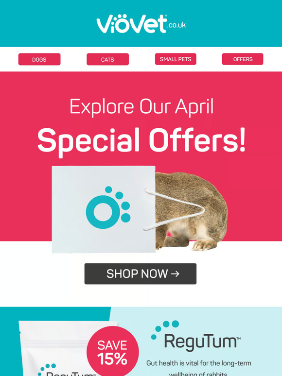 NEW: April Special Offers! ⚡️