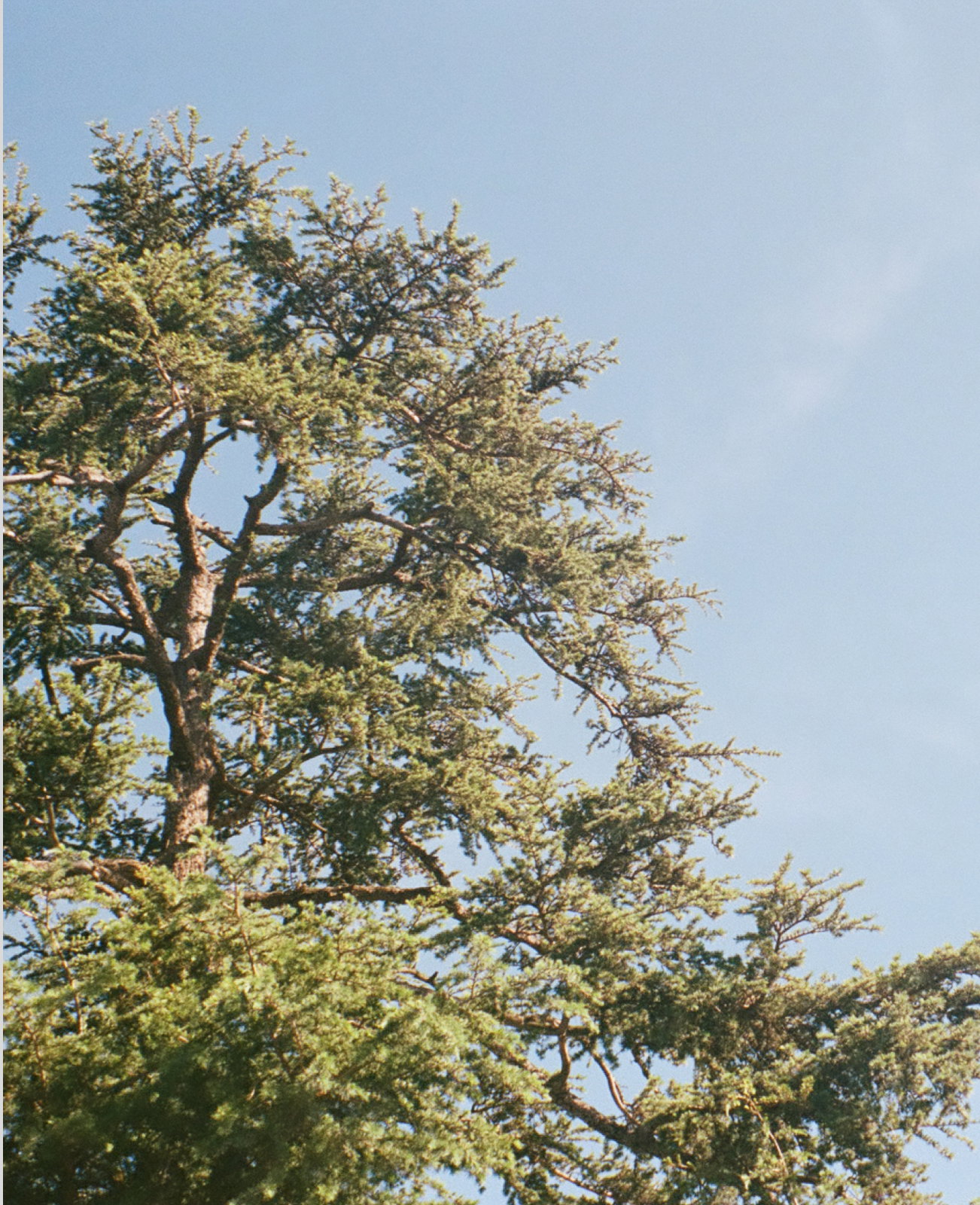 Ethical Women's Clothing | NATION LTD