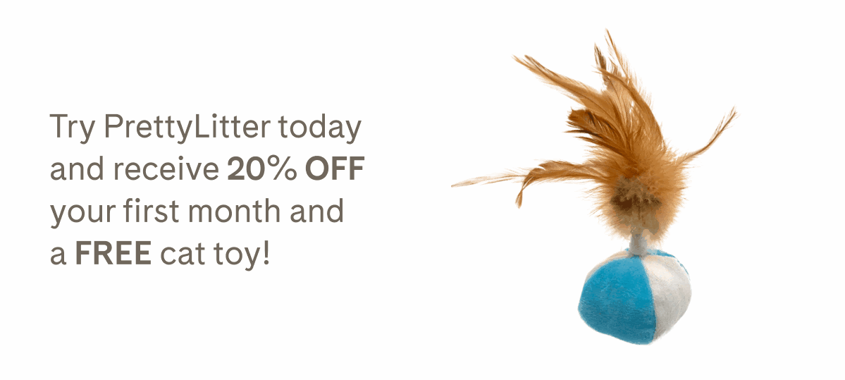 Pretty Litter Say goodbye to stinky litter boxes! Milled