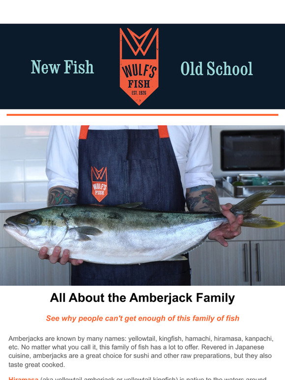 Wulf Fish Wulf's Fish: Get to Know Amberjacks! 🐟 | Milled