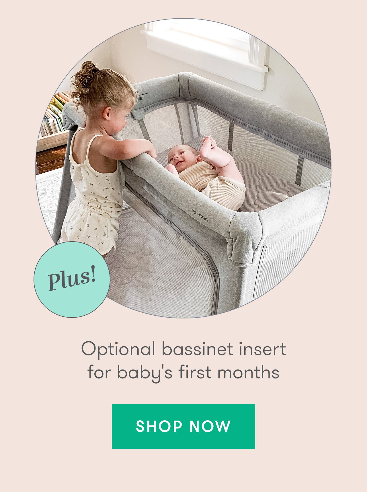 ...and don't forget our optional bassinet insert!