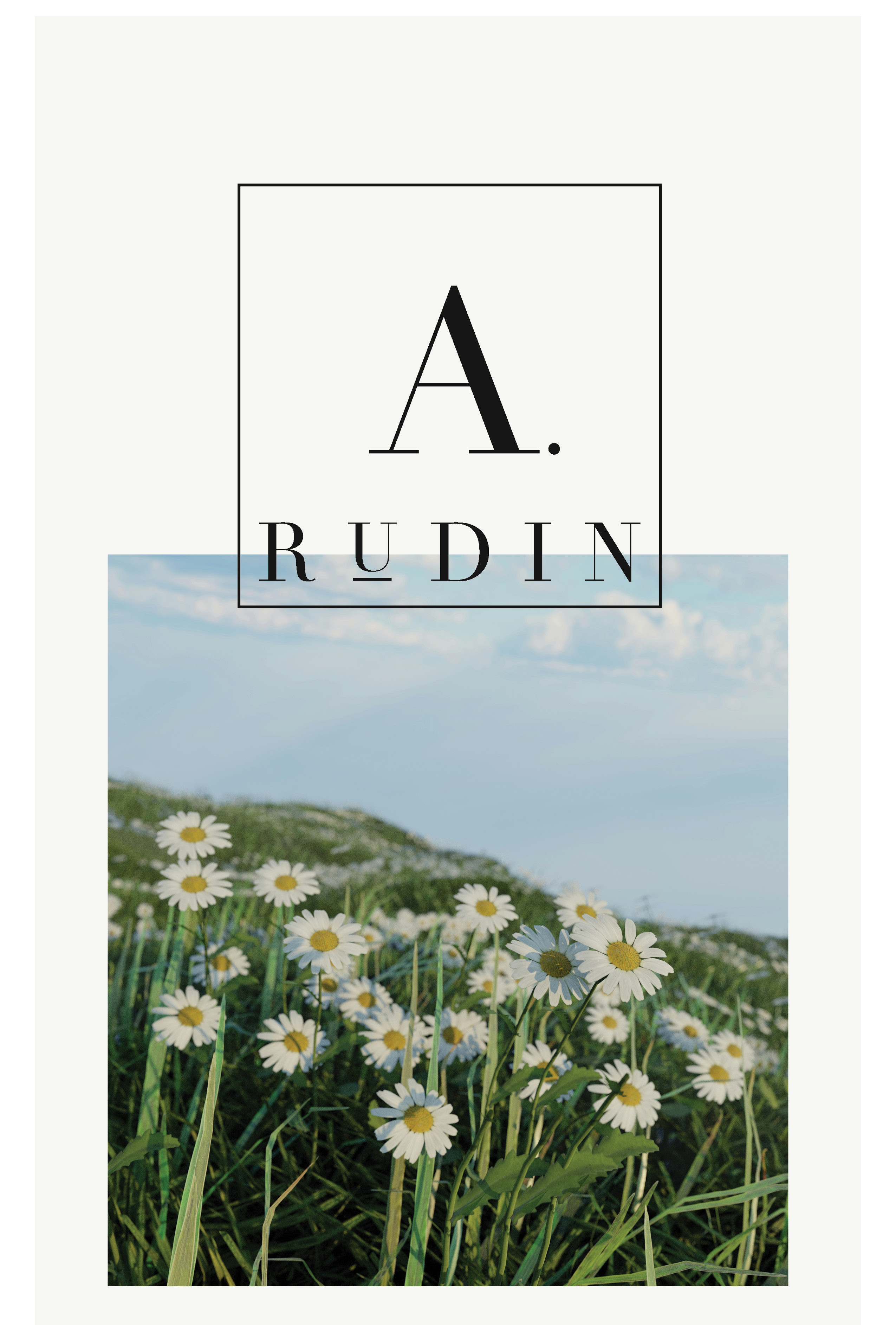 A. Rudin