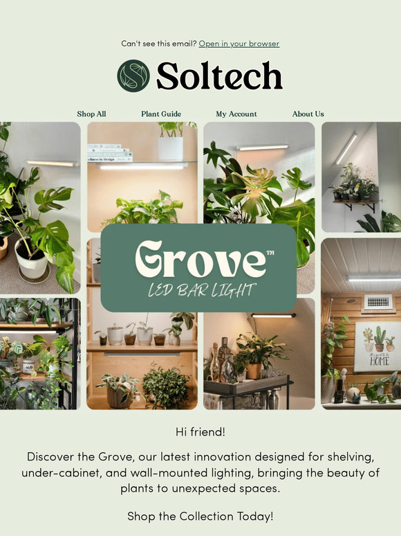 Grove Collection: Bring Greenery to Any Space 🌿