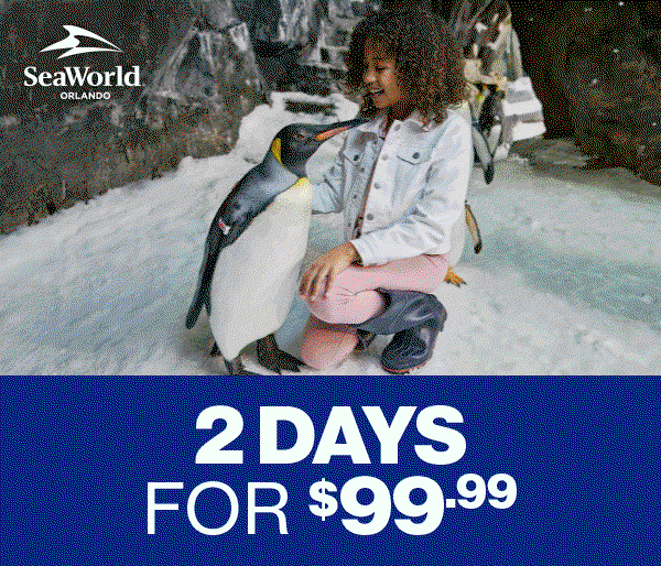 Book Now!