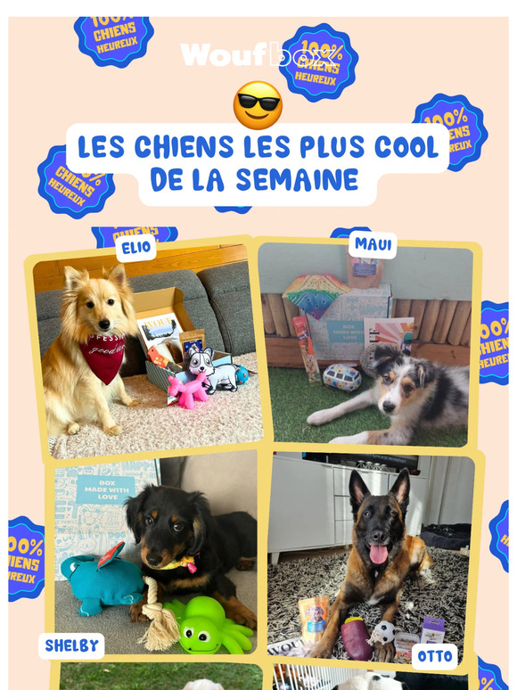 📆 Votre rendez-vous du dimanche