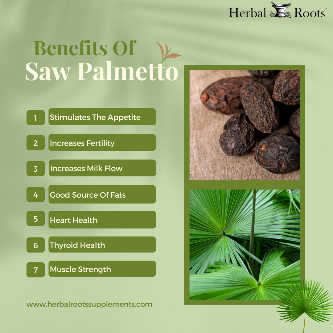 Herbal Roots Did You Know These Benefits Of Saw Palmetto Milled