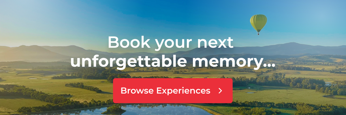Uncover your next extraordinary adventure...