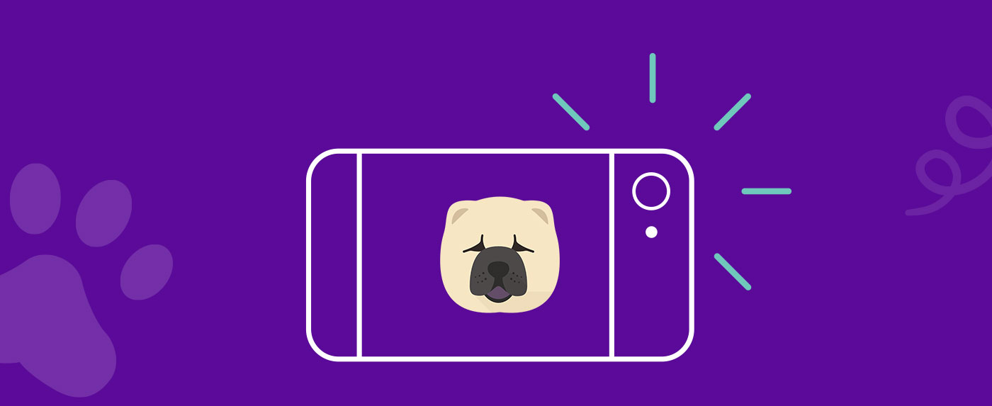 Yappy UK OH MY DOG! Cards are now only £1.49, —... Milled