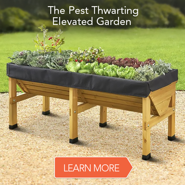 Hammacher Schlemmer: The Pest Thwarting Elevated Garden | Milled