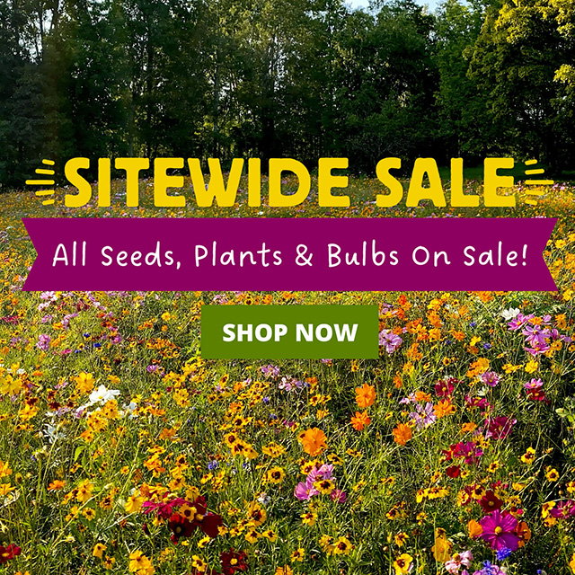 Sitewide Sale All Seeds, Plants & Bulbs On Sale Shop Now