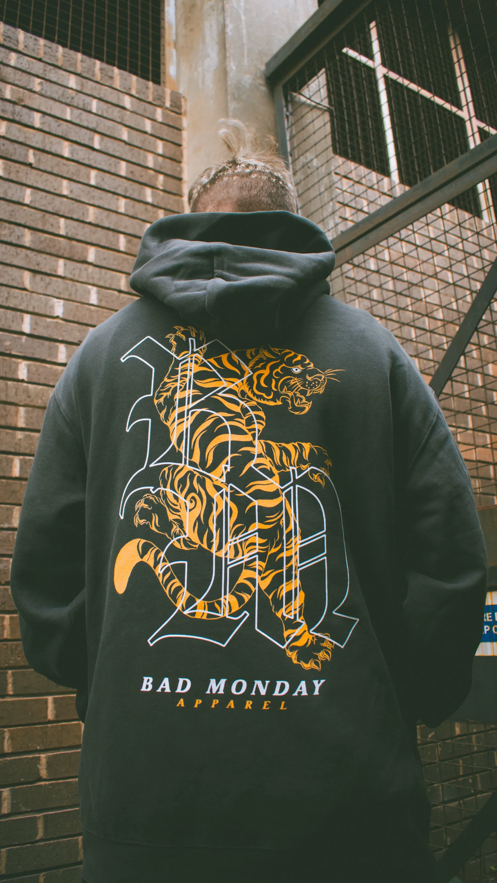 Image of Relax Fit BM Tiger Hoodie