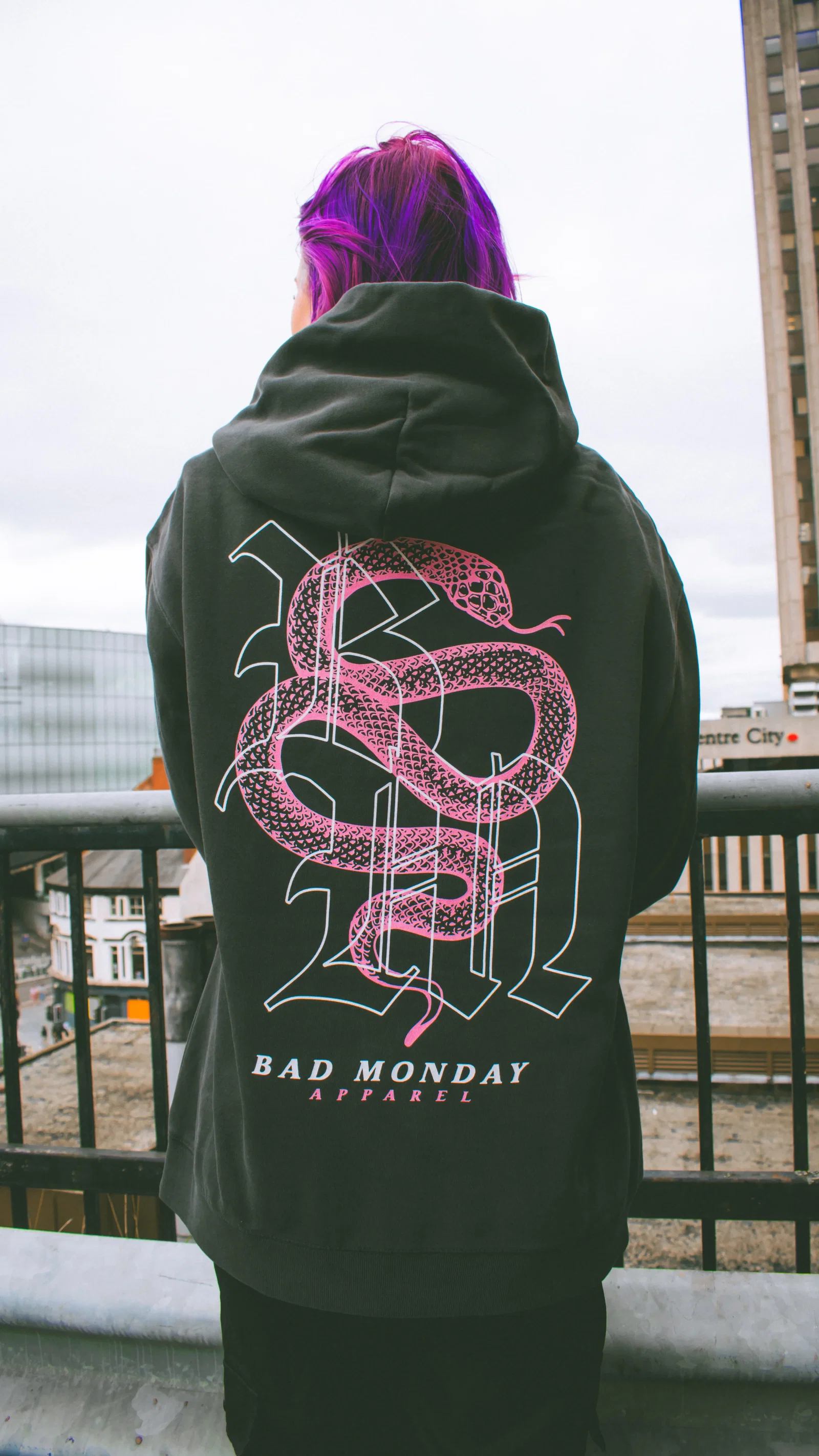 Image of Relax Fit BM Snake Hoodie