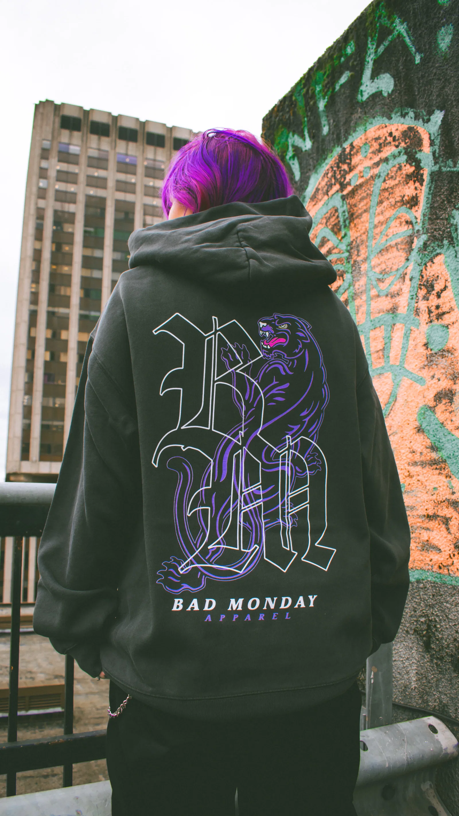 Image of Relax Fit BM Panther Hoodie