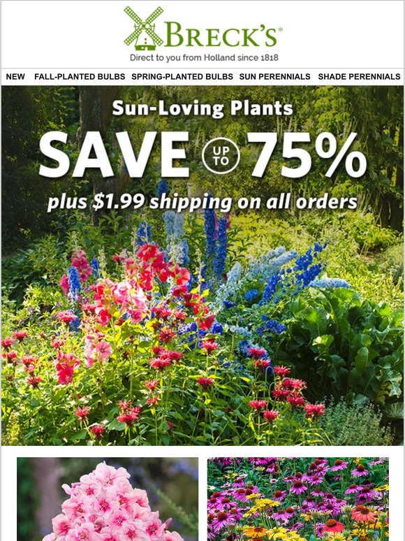 Breck's 1 Day Only 1.99 Ships ANY Size Order of SunLoving Plants