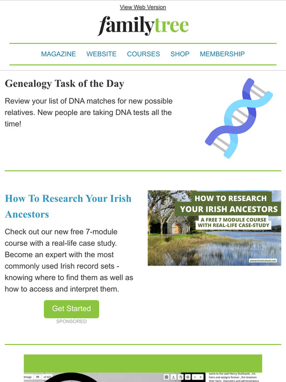 Text Search Tool