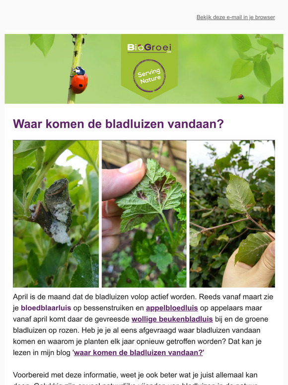 🐞Waar komen bladluizen vandaan? | Tuintips April