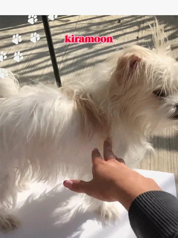 it's National Pet Day!!! 🐾