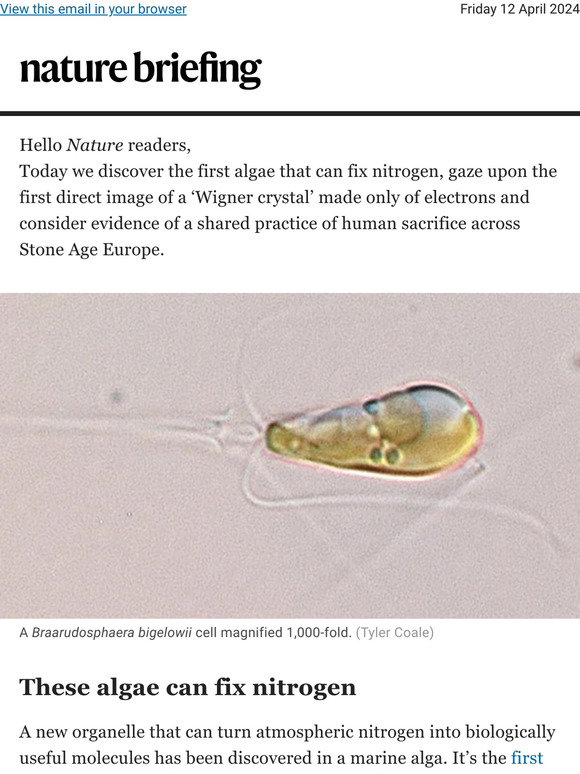 Nature: Discovery of algae that can fix nitrogen gives hope for self ...
