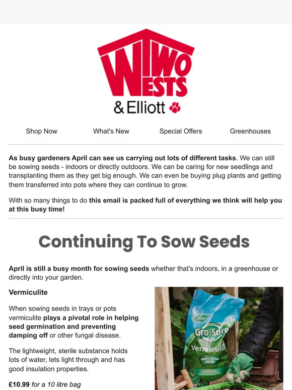 Caring For Seedlings And Plug Plants