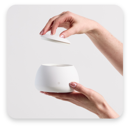 The Dental pod