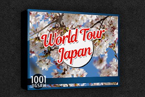 1001 Jigsaw World Tour Japan 
