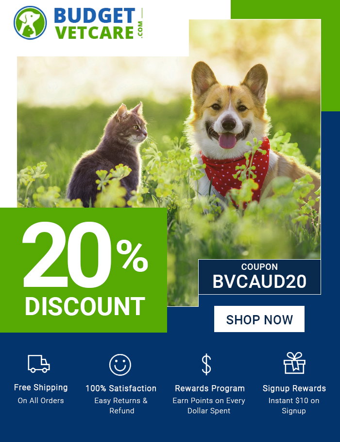Use Coupon : BVCAUD20 & Get 20% Off