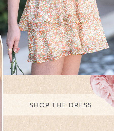 Shop The Dress