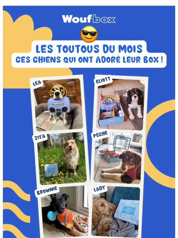 📆 Votre rendez-vous du dimanche