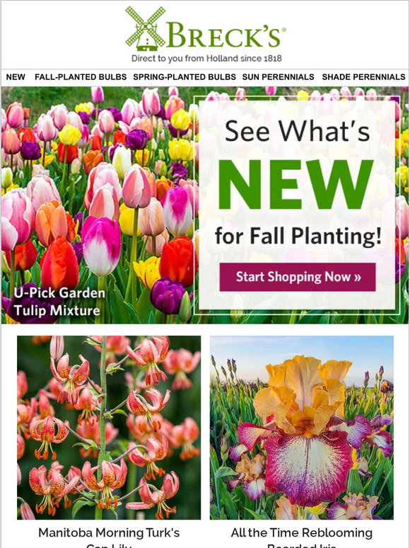 Breck's: Fall Planting Preview! | Milled