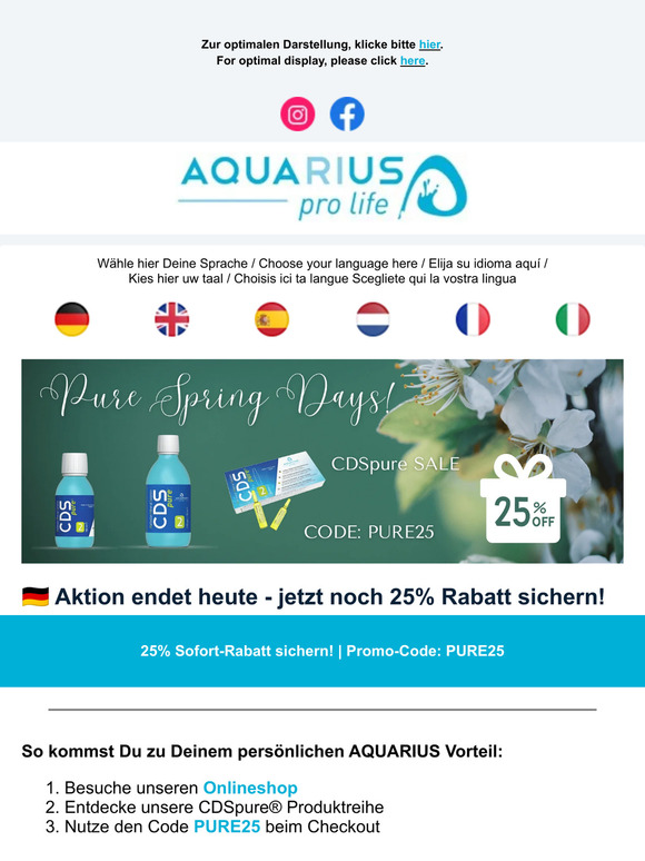 25% CDSpure Last Chance Sale💙 Nur noch bis 23.59 Uhr | Only until 23.59 pm