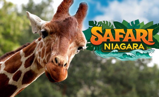 Safari Niagara Tickets for 2-4