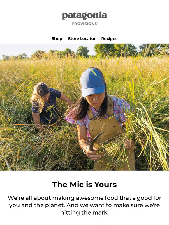 Patagonia Email Newsletters Shop Sales, Discounts, and Coupon Codes