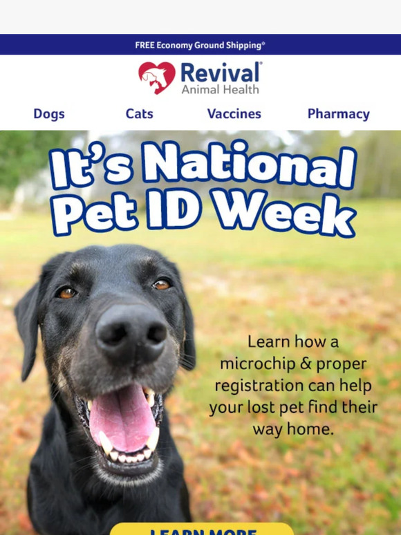 Help ensure your animals find their way home! 🏠
