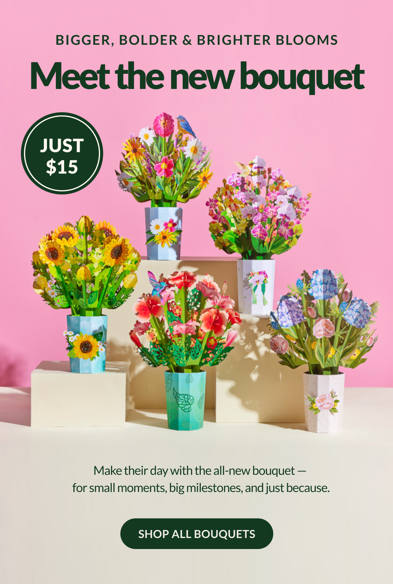 BIGGER, BOLDER & BRIGHTER BLOOMS | Meet the new bouquet | JUST $15 | Make their day with the all-new-bouquet - for small moments, big milestones, and just because | SHOP ALL BOUQUETS