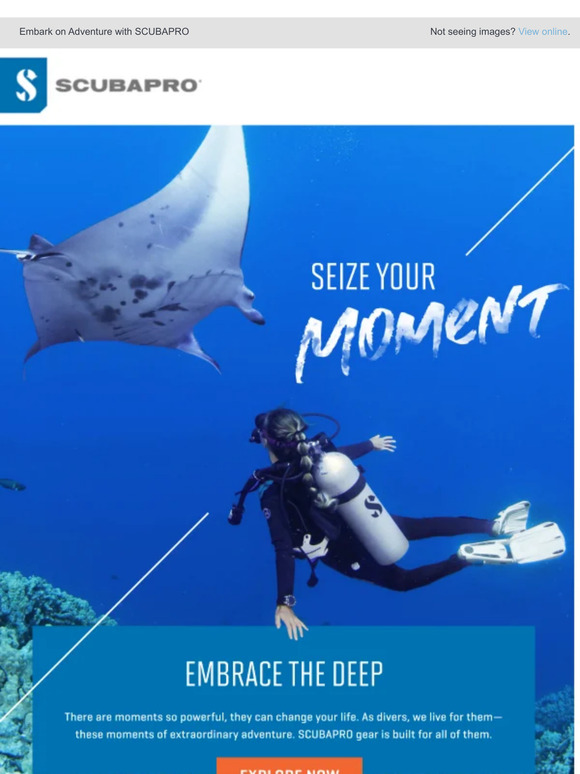 It's Time To Seize Your Moment
