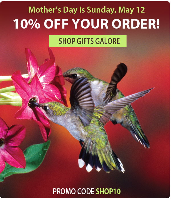 10% Off Your Order!