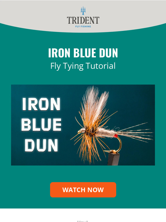 Fly Dry Barbless IRON BLUE DUN (14-16-18 - Foto 7