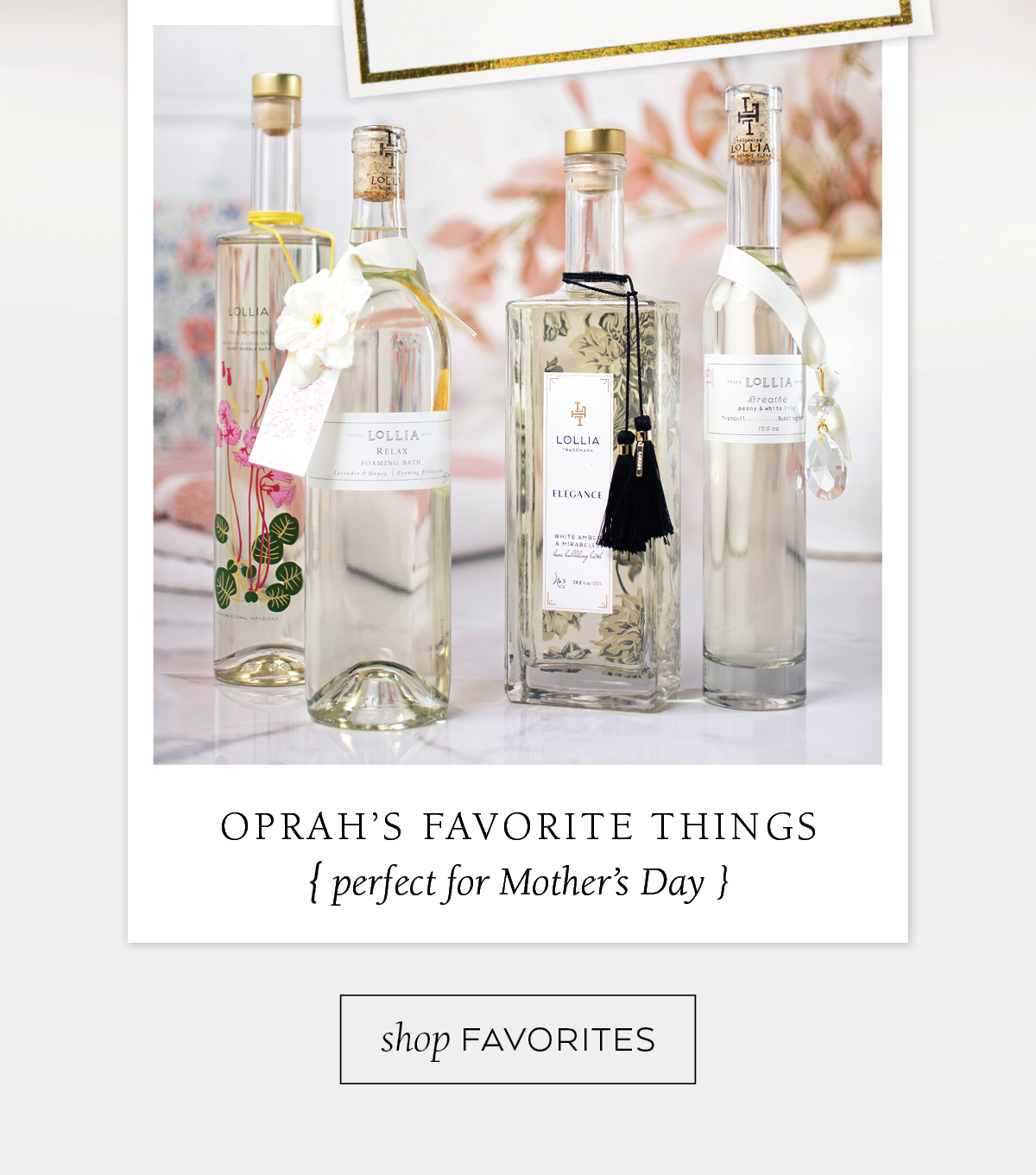 Shop Favorites