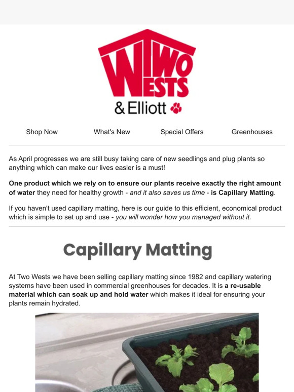 Capillary Matting For Easy And Efficient Watering