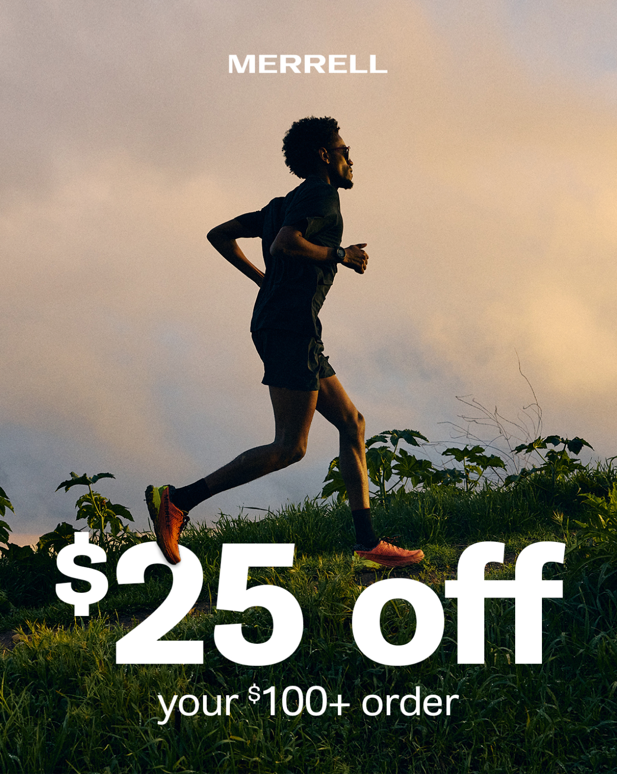 25% off your $100+ order.