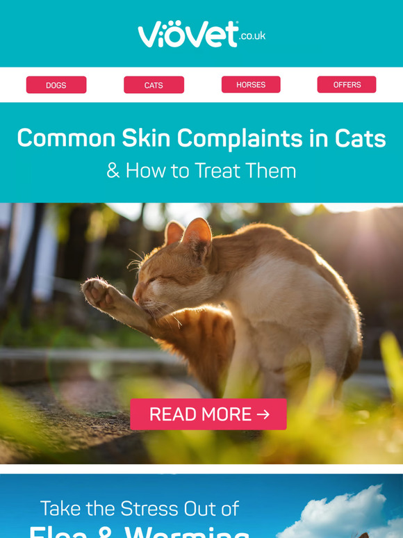 Common Skin Complaints in Cats & How to Treat Them