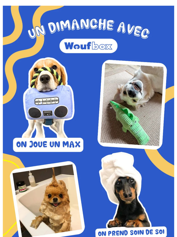 🥰 Le woufmood du dimanche