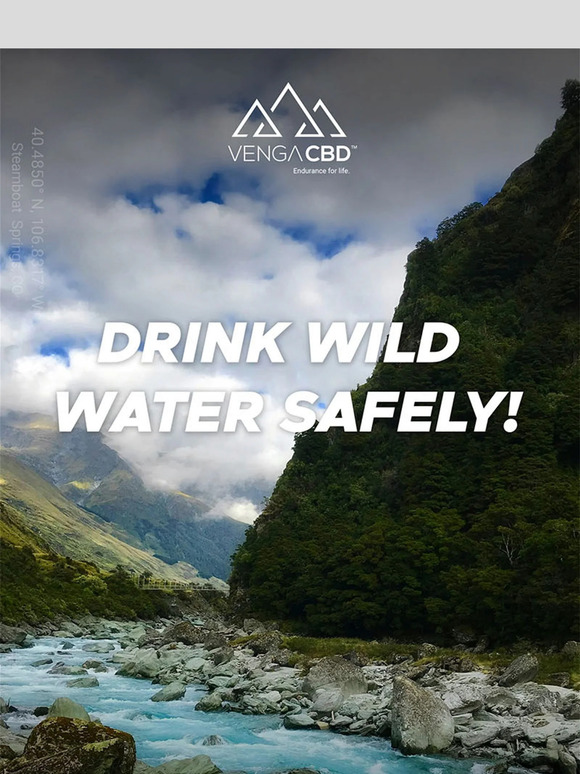 🌊 Stream Water Safety 101: Don’t Sip Without This Info!