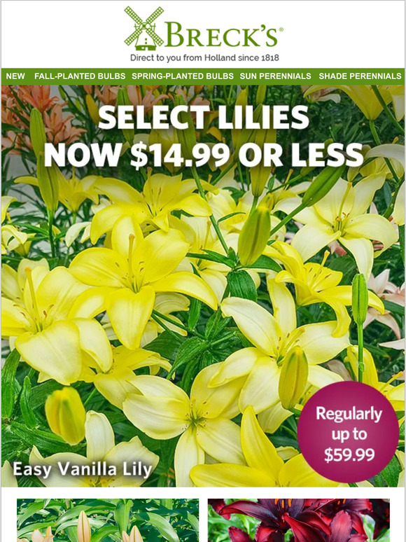 Breck's Select Lilies Reduced Now 14.99 or Less! Milled