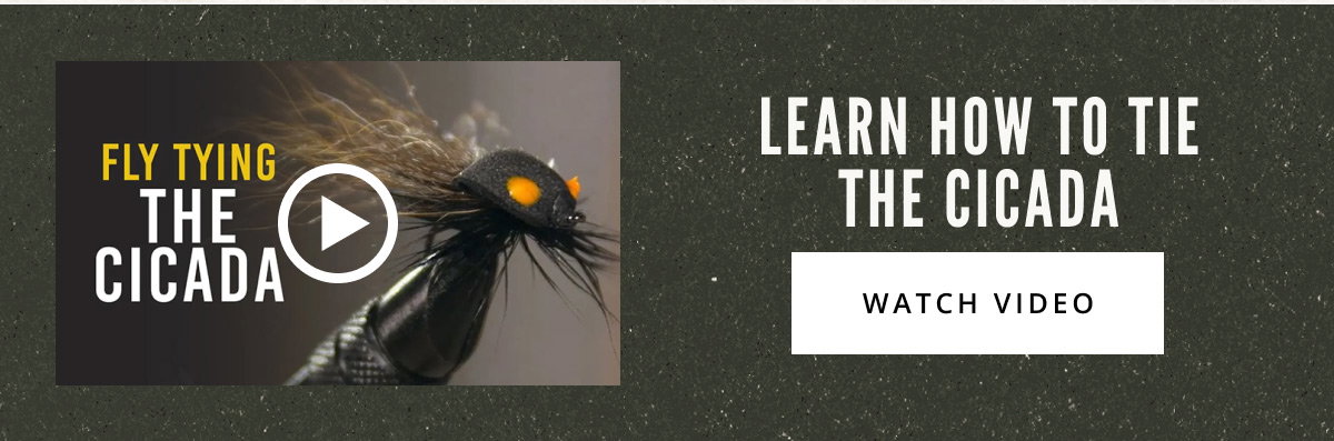 Fly Fishing