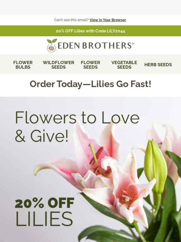 Eden Brothers Seed Company Lily Planting Sale! 20 OFF Milled